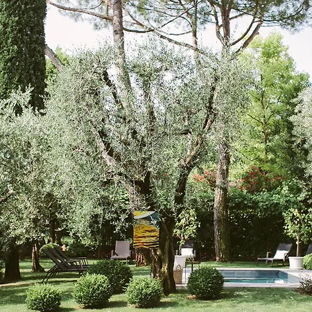 Piccola Vela Desenzano del Garda